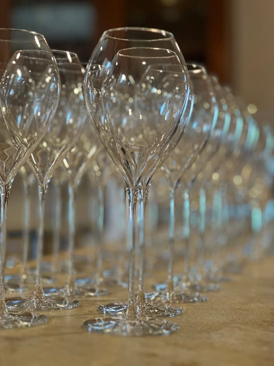 Rows of glassware set for a blind tasting.