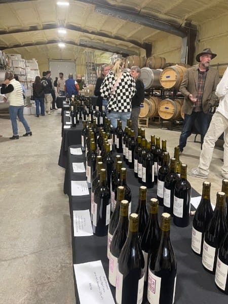 Bottles lined up for a guided winery tasting.