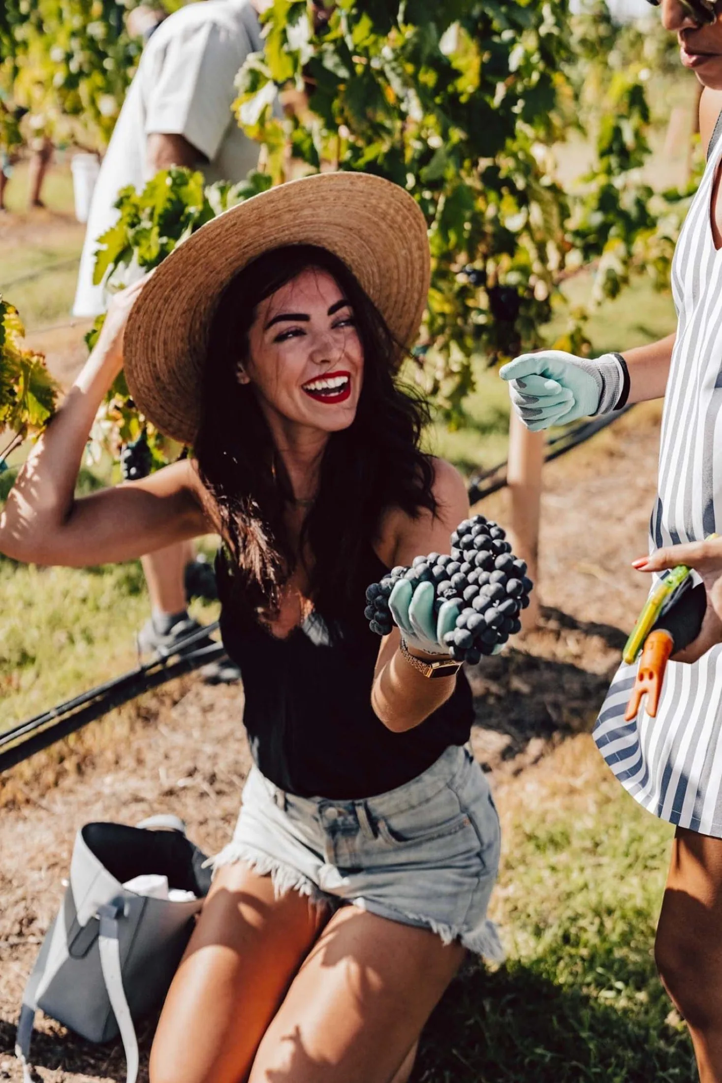 A joyful harvest moment among the vines.